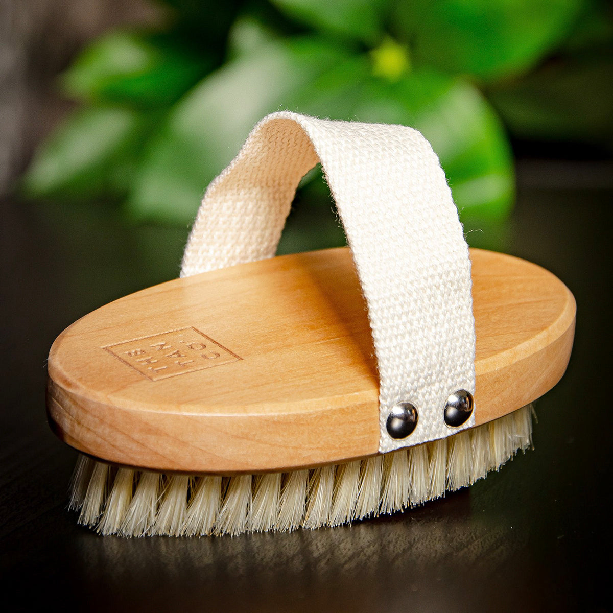 DRY BRUSH