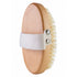 The Tan Co Dry Brush