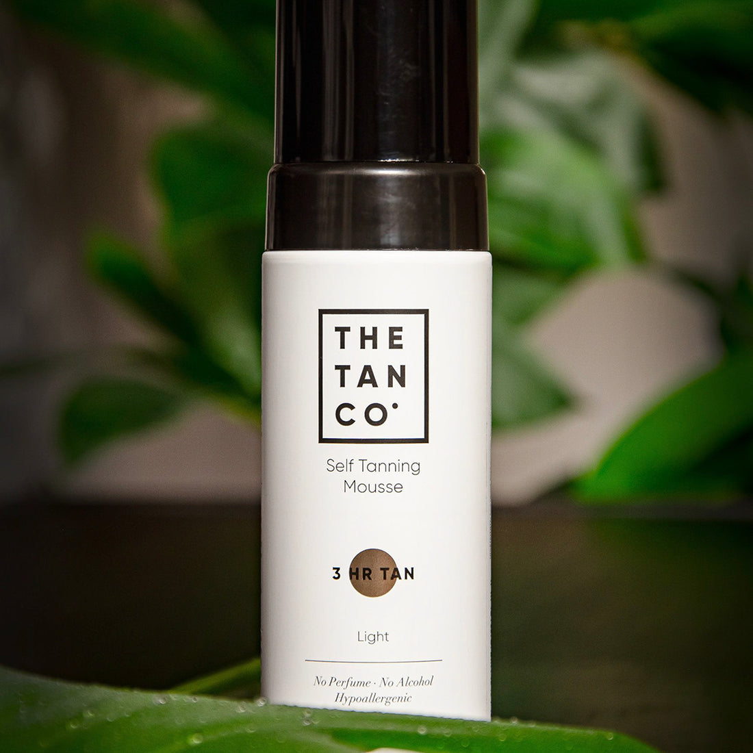 SELF TANNING MOUSSE LIGHT